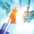 The Evolving World of FDA-Approved Gene Therapies