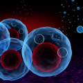 The Role of Exosomes in Virus Transmission and Public Health
