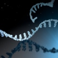 The Fascinating World of Polynucleotides: Exploring the Complexities of tRNA and Nucleic Acids