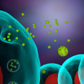 The Potential of Exosomes in Cancer Treatment and Diagnosis