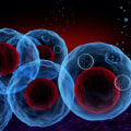What are exosomes in cardiovascular disease?