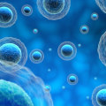 The Truth About Insurance Coverage for Exosome Therapy: An Expert's Perspective