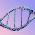 The Fascinating World of DNA: Unraveling the Mysteries of Polynucleotides