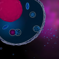What are exosomes in a nutshell?
