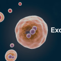 What are exosomes in simple terms?
