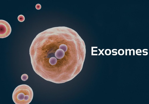 What is the role of exosomes in the immune response?
