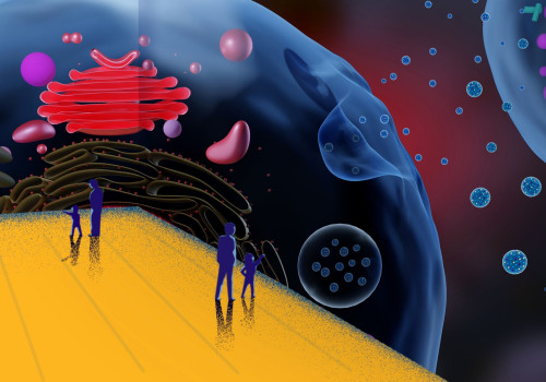 Unleashing the Full Potential of Exosomes as Drug Carriers