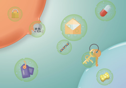 The Potential of Exosomes in Cancer Treatment: An Expert's Perspective