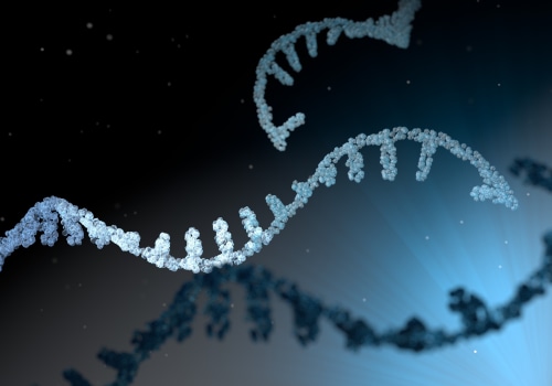 The Fascinating World of Polynucleotides: Exploring the Complexities of tRNA and Nucleic Acids