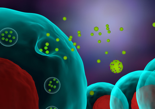 The Potential of Exosomes in Cancer Treatment and Diagnosis