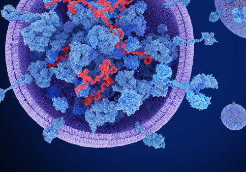 The Potential of Exosomes in Disease Detection and Treatment