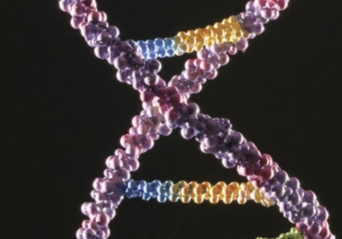 How many polynucleotide strands are there in rna?